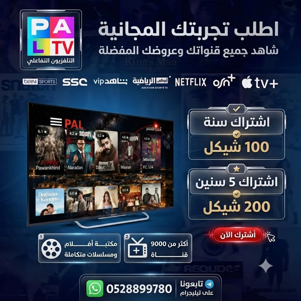Palvision iptv