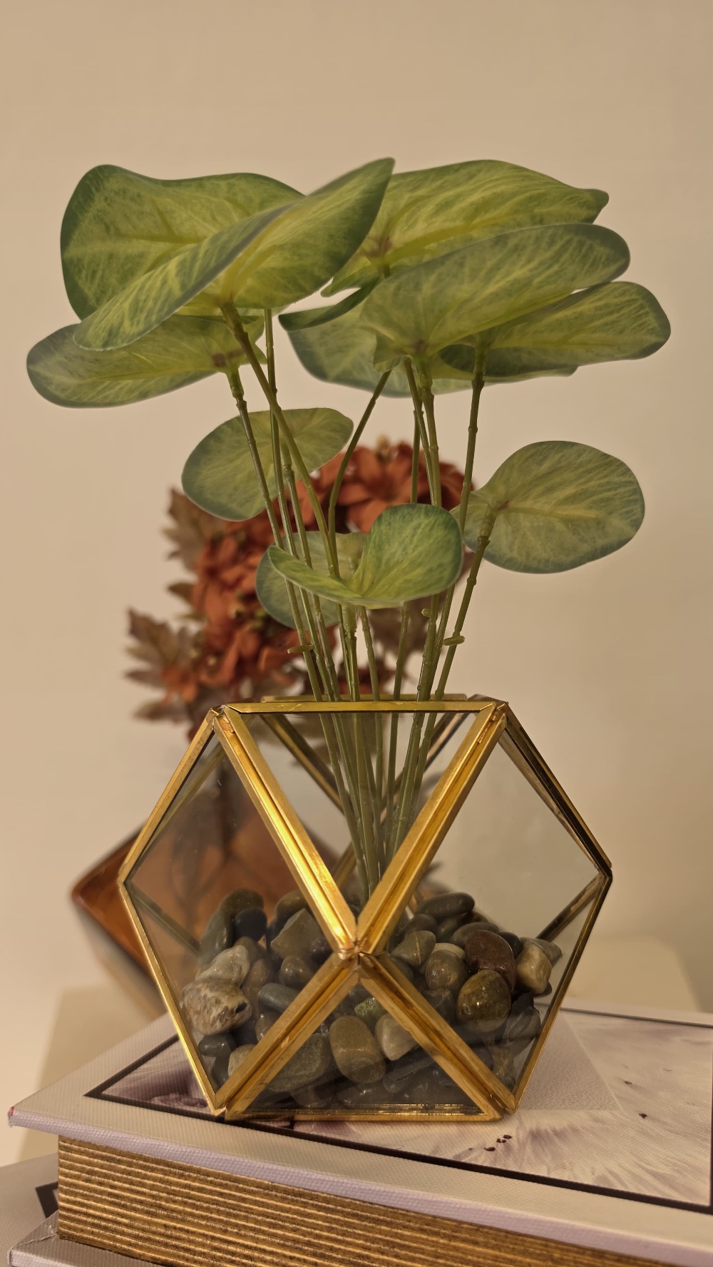 زريعة بقوار شفاف