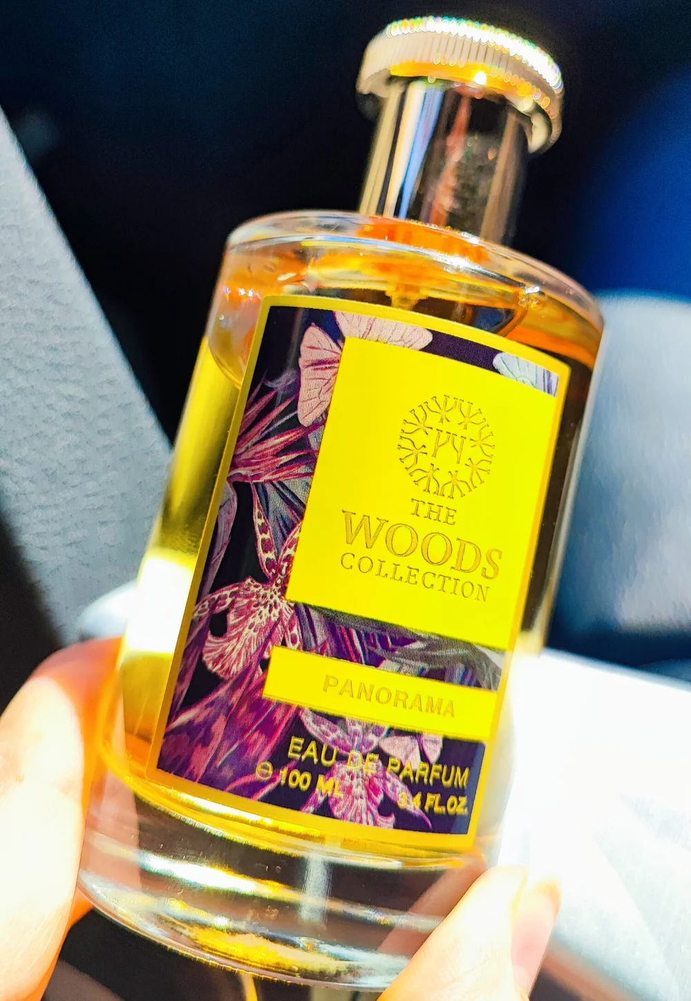 Panorama The Woods Collection عطر للجنسين. Panorama صدر عام 2020.
