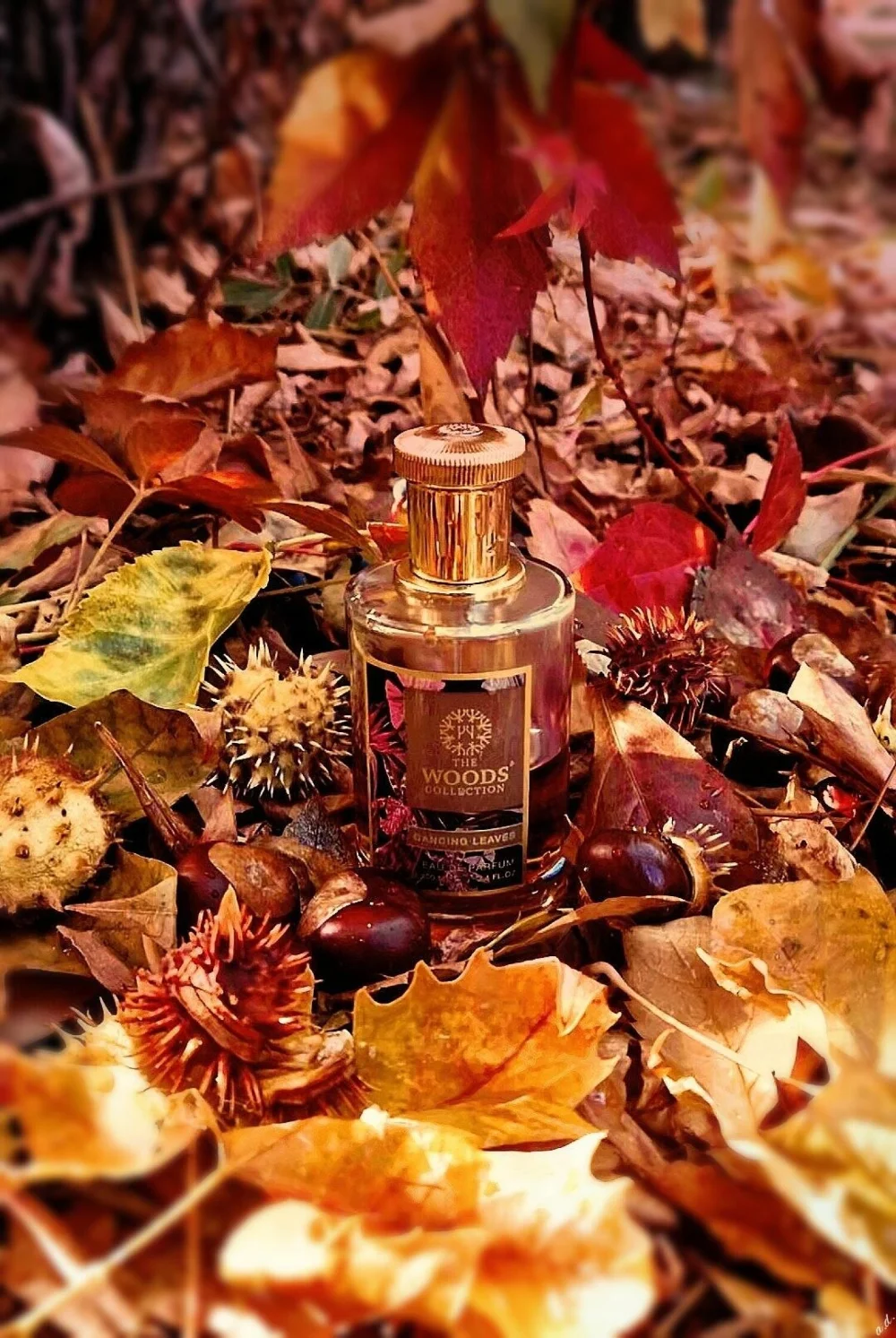 Dancing Leaves The Woods Collection عطر شرقي - خشبي للجنسين