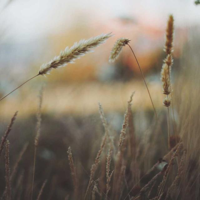لوحة مفاتيح مدمج 32