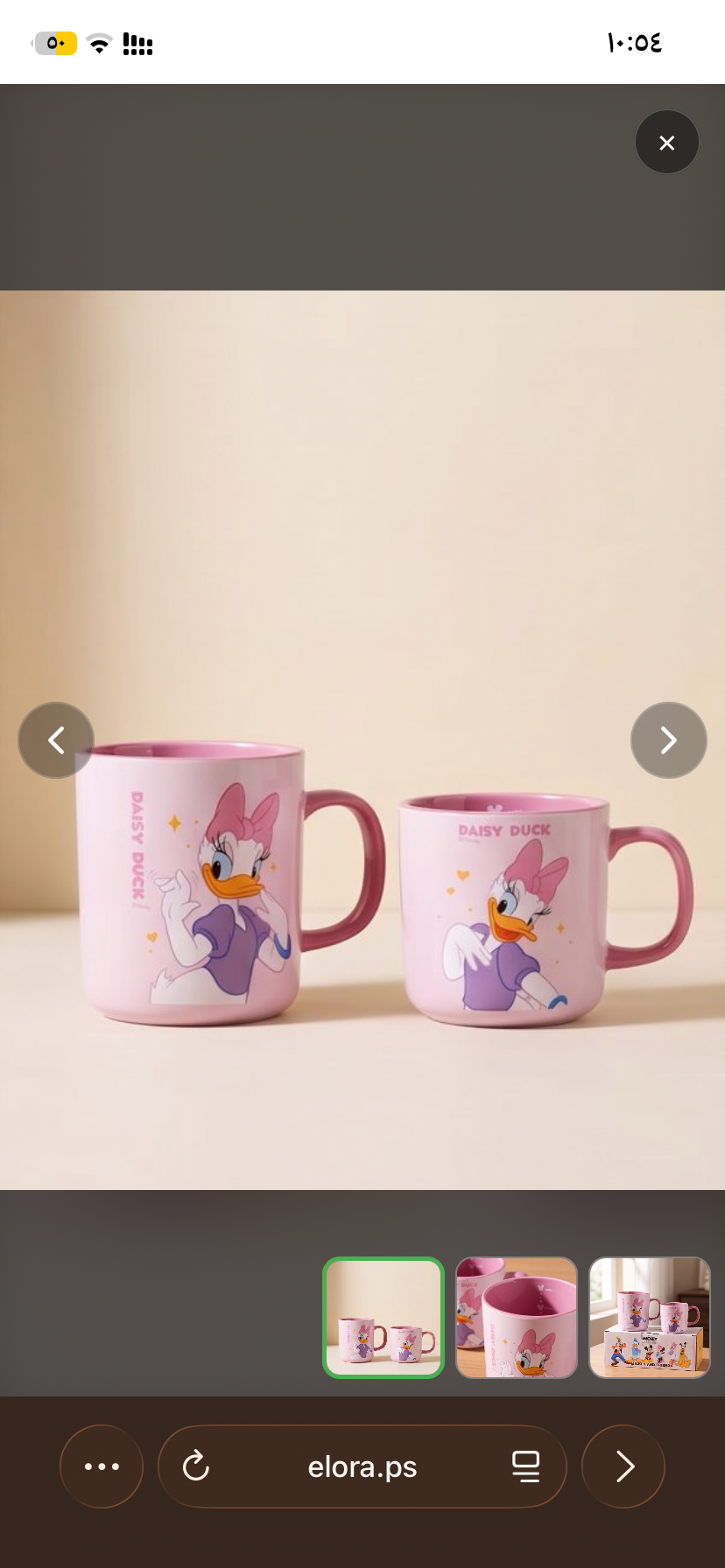 بكج بطوطه ٢ كوب
