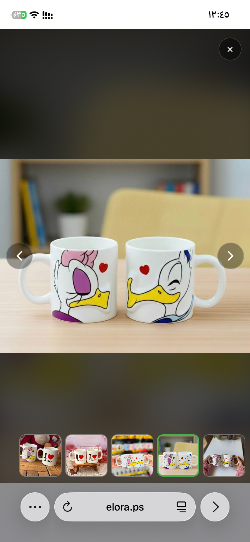 كبلز بطوطة وبطوط