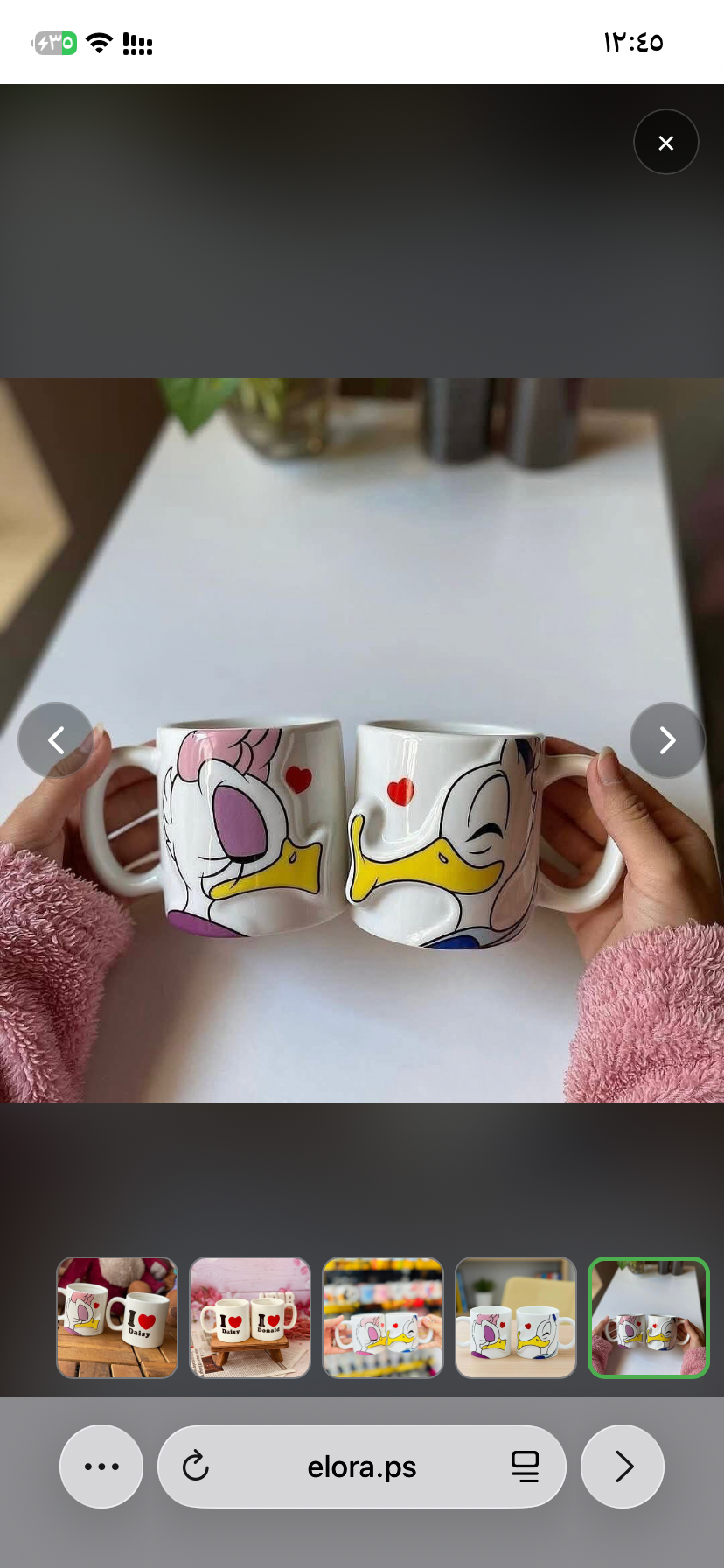 كبلز بطوطة وبطوط