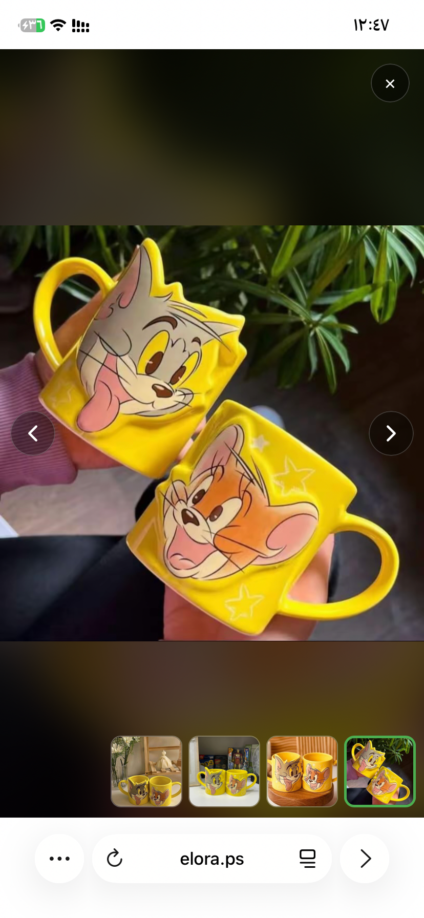 كبلز توم وجيري