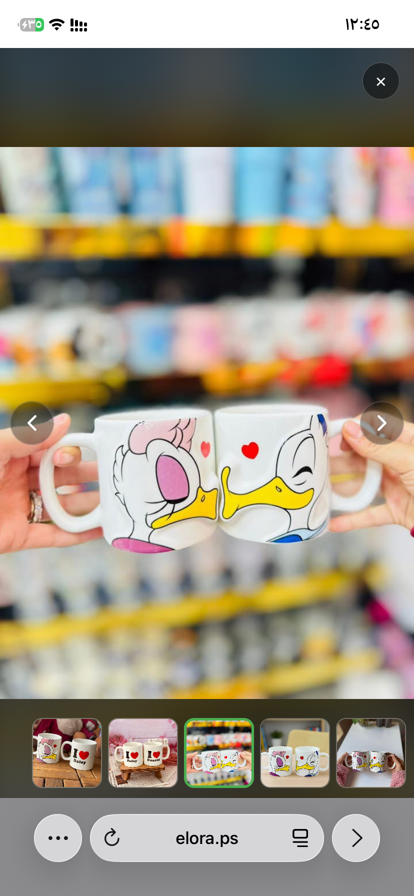كبلز بطوطة وبطوط