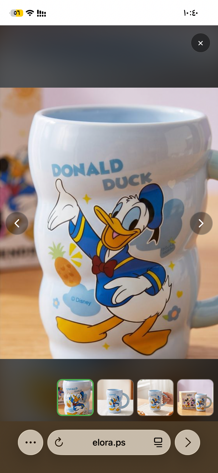 كوب بطوط