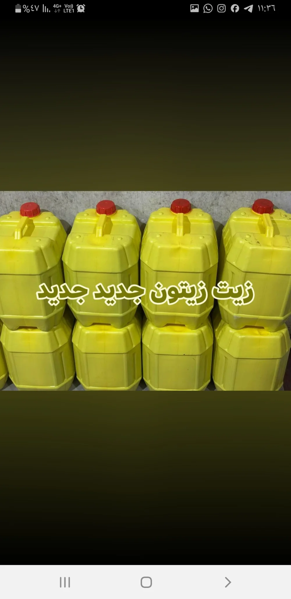زيت زيتون بكر صافي جديد