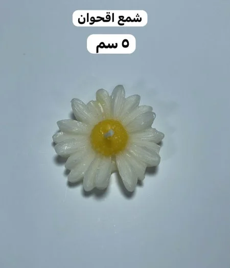 شمعة اقحوان معطرة