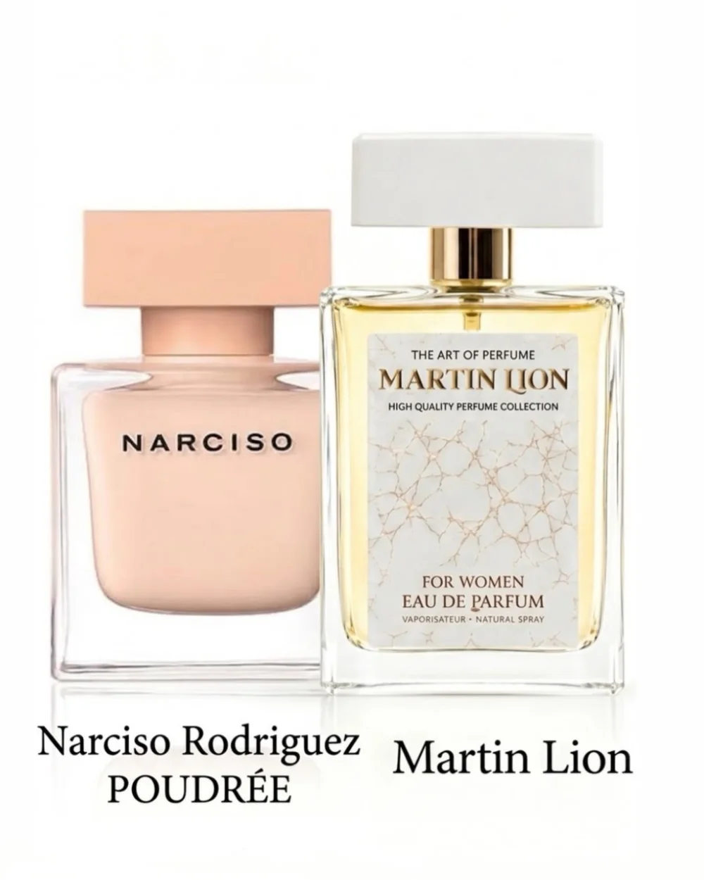 Martin lion - Narciso