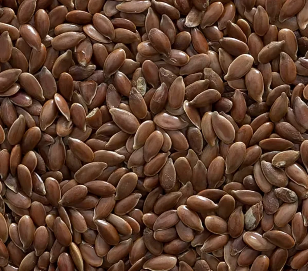 بذور الكتان