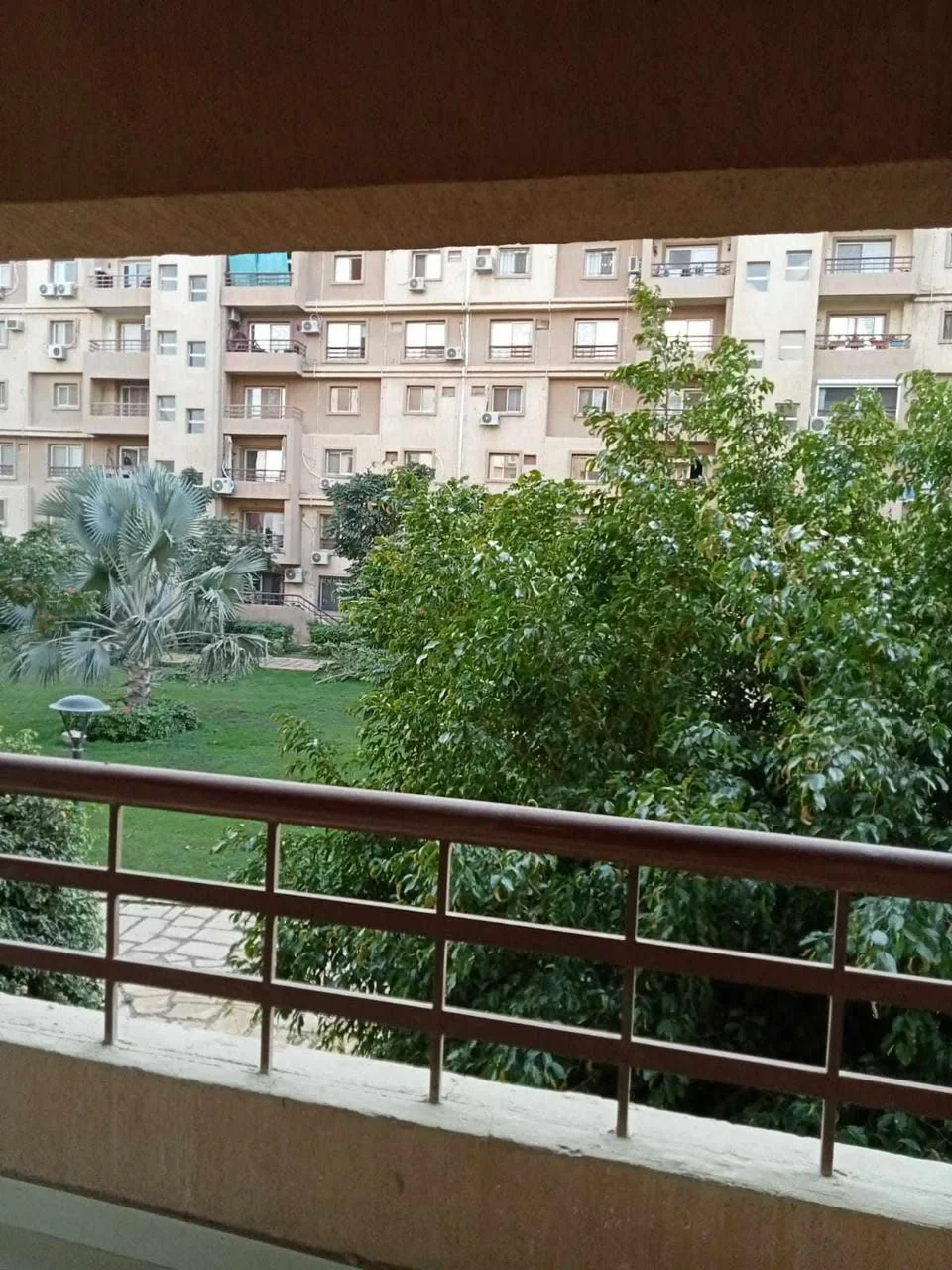 شقة