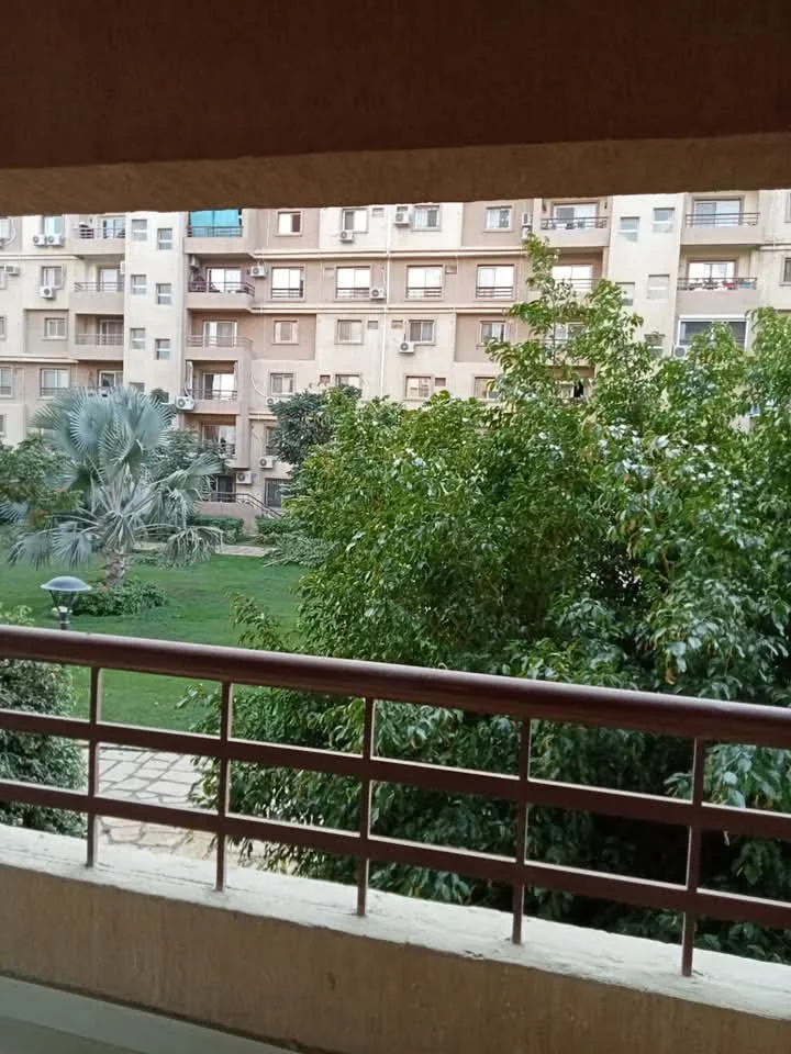 شقة