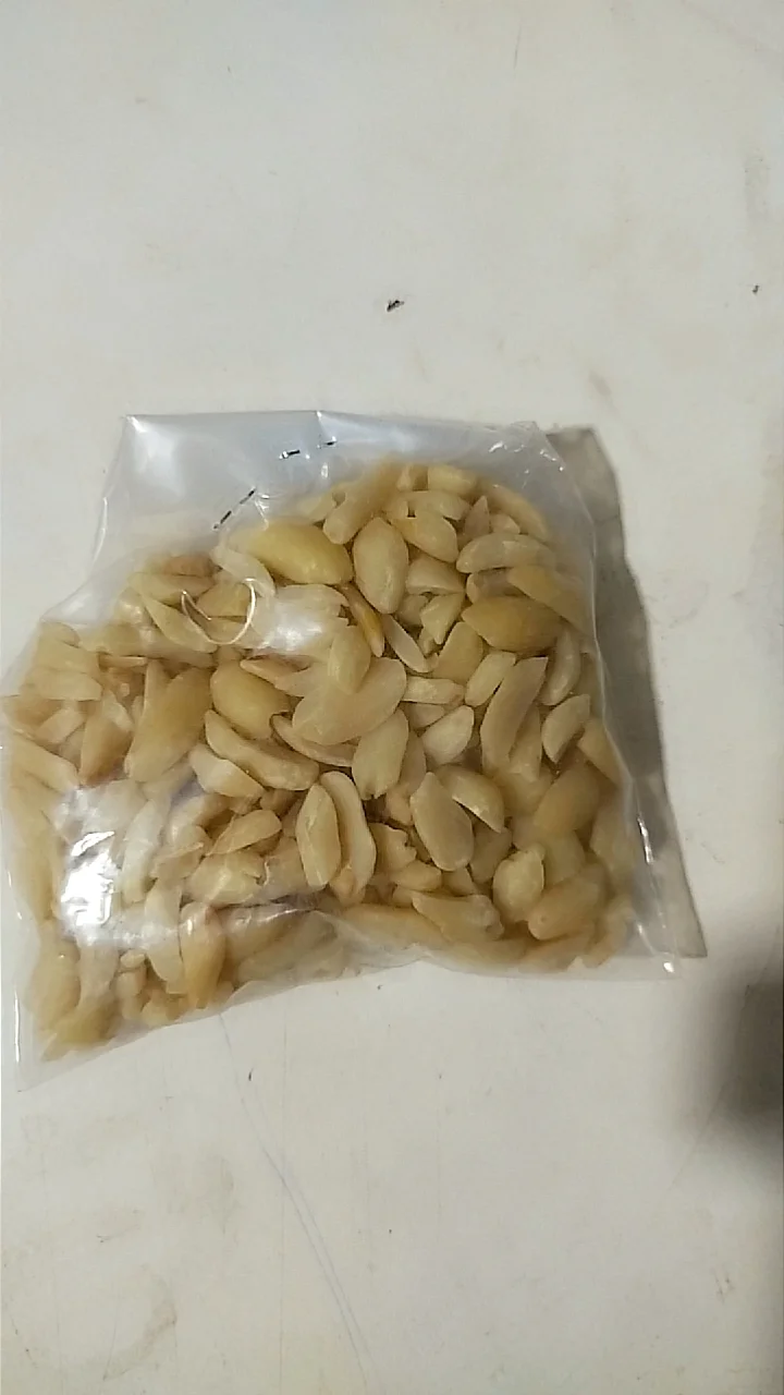 فسدق للرز