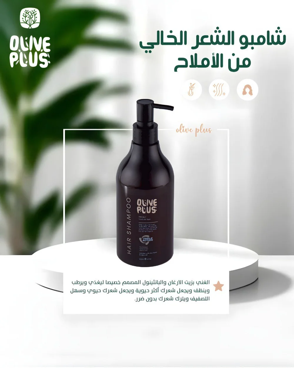 شامبو خالي الاملاح - Olive Plus
