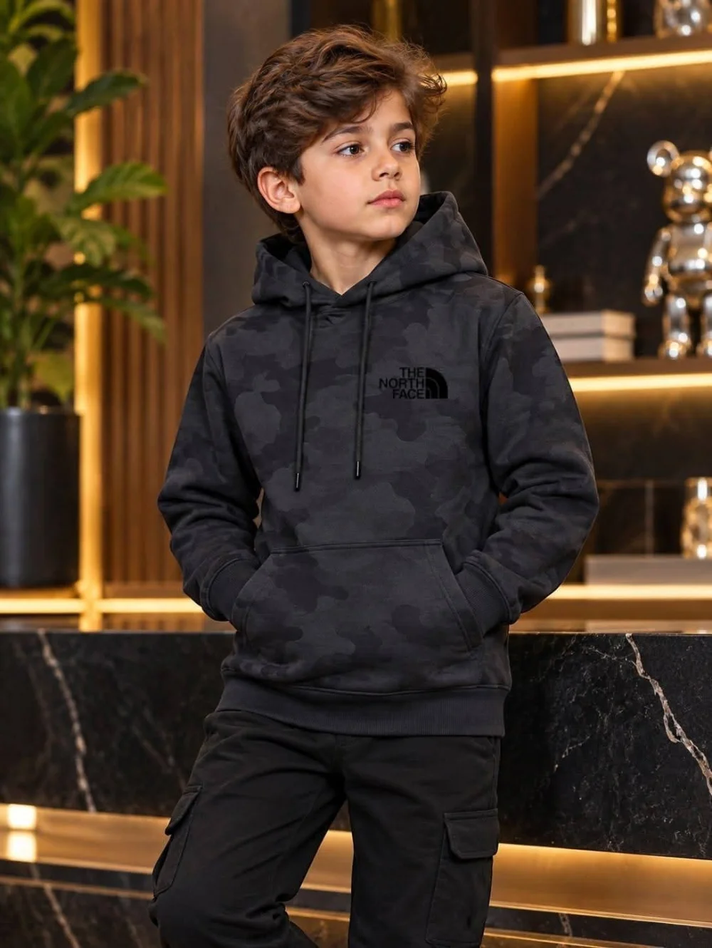 هودي مبطن the north face