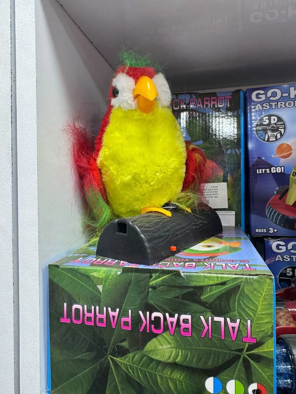 ببغاء يعيد الكلام