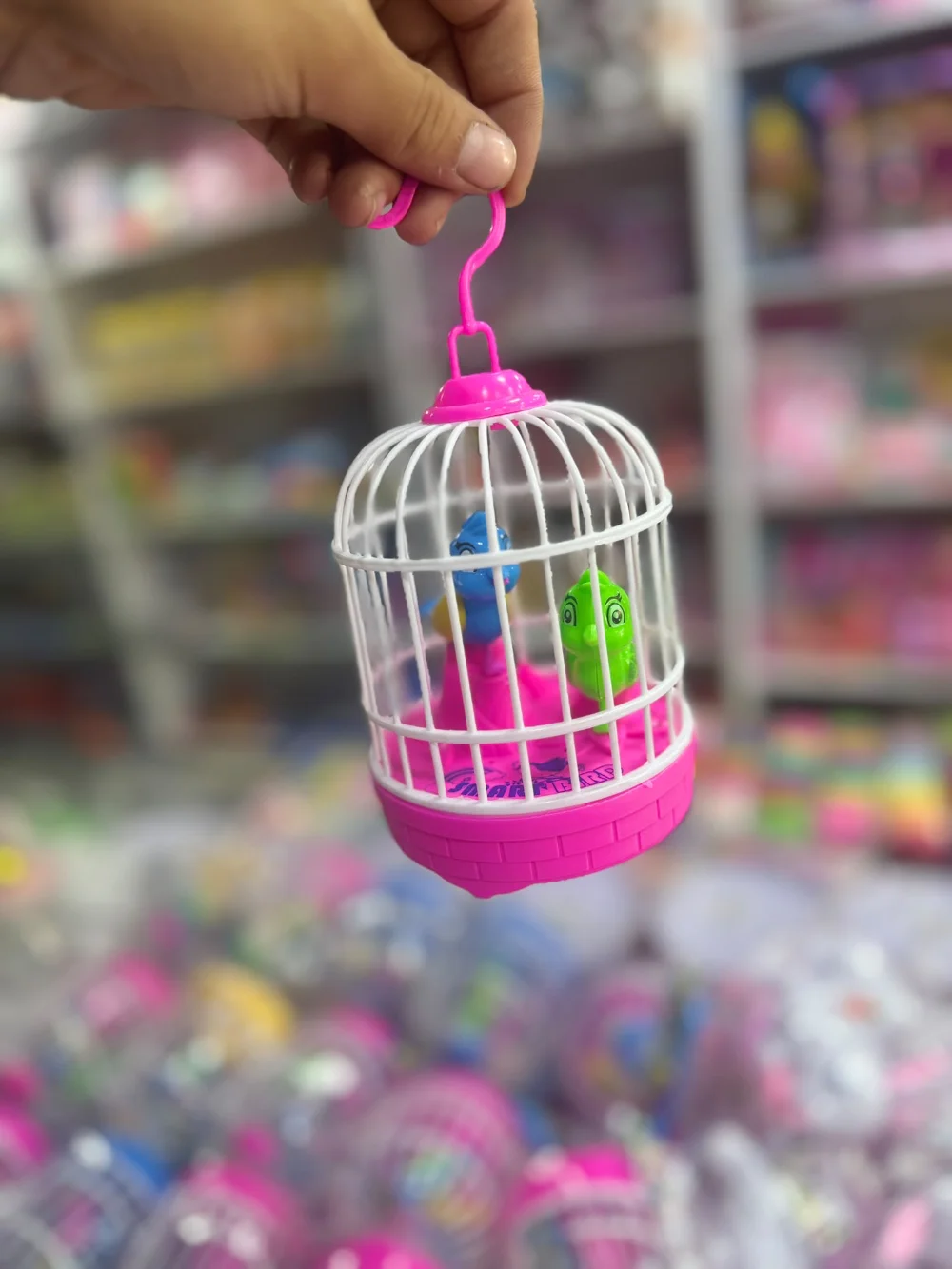قفص عصافير موسيقى